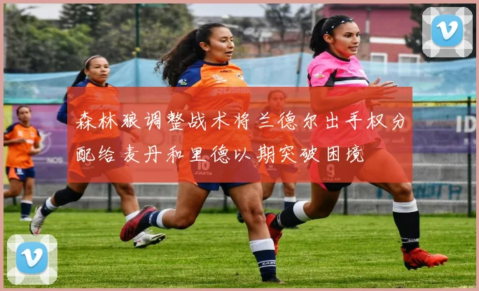 森林狼调整战术将兰德尔出手权分配给麦丹和里德以期突破困境